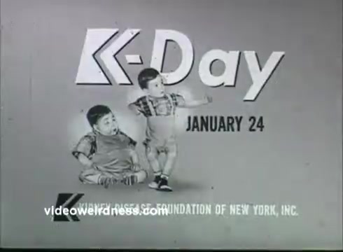 The still features text promoting 'K-Day,' scheduled for January 24, alongside illustrations of two children, one sitting and the other standing. The backdrop is simple, emphasizing the event's date and the Kidney Disease Foundation of New York. The design is likely aimed at creating awareness for kidney health issues.