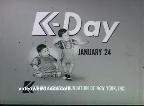 The still from the 'Kidney Disease Foundation of NY PSA' features the title 'K-Day' prominently displayed, along with the date 'January 24.' Two cartoonish children are depicted, one sitting and the other standing, suggesting a playful yet serious tone to the message. The background is simple, focusing attention on the promotional elements related to kidney health awareness. The image underscores the foundation's efforts to highlight the significance of kidney disease awareness.