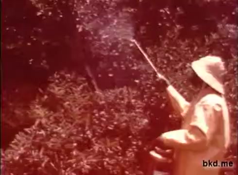 The still depicts a person in protective gear, including a light-colored hat and clothing, spraying pesticides onto plants. The setting appears lush with greenery, and the image has a reddish tint typical of 16mm film from the 1970s. This aligns with the context of a public health service PSA aimed at highlighting pesticide use and safety.