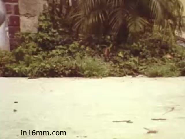 The still from 'Walk Safely,' an educational film from 1982 by Fiesta Films, likely depicts a scene focused on pedestrian safety. The image shows a portion of a pavement with greenery in the background, suggesting a suburban or neighborhood setting. The overall tone of such films typically emphasizes safety awareness, proper walking etiquette, and the importance of staying alert near roadways. The visual style is characteristic of early 80s educational films, with a warm color palette and straightforward presentation.