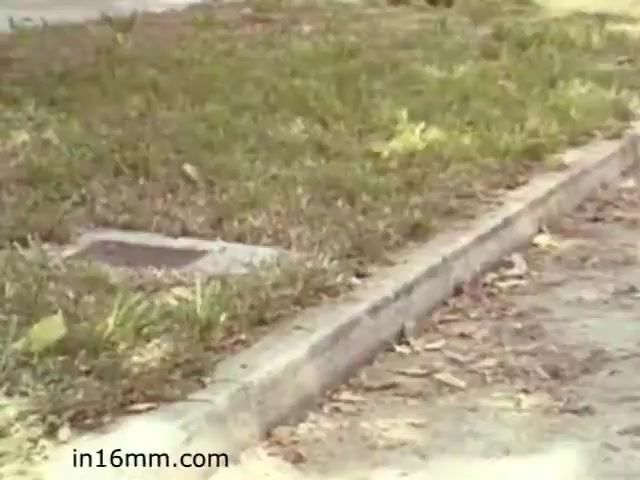 The still from 'Walk Safely - Educational Film from 1982 - Fiesta Films' showcases a portion of a grassy area alongside a curb and a sidewalk. The image captures the natural setting with grass and leaves, hinting at themes of pedestrian safety in urban environments. The 16mm film quality adds a nostalgic visual aesthetic typical of educational films from that era.