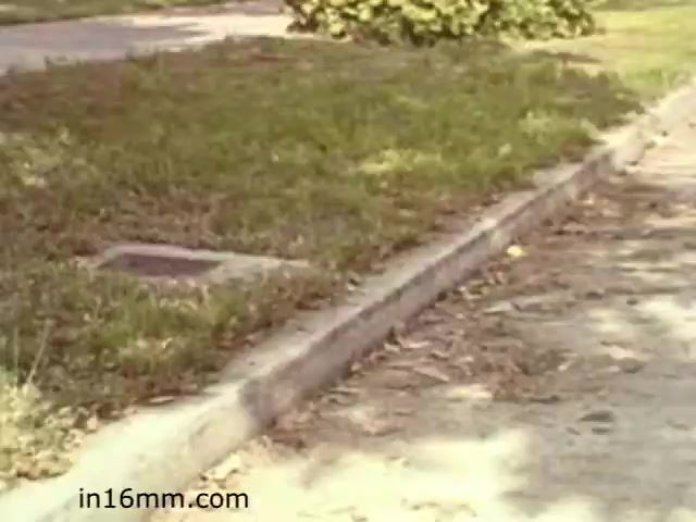 The still from 'Walk Safely,' an educational film from 1982 by Fiesta Films, depicts a sidewalk and grassy area. The image shows a concrete curb separating the sidewalk from the grass, with some scattered leaves on the ground. The scene is likely intended to illustrate pedestrian safety or conscientious walking practices, reflecting common themes in educational films from that era.