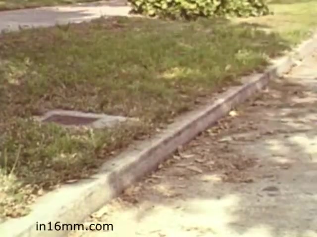 The still from 'Walk Safely,' an educational film from 1982 by Fiesta Films, depicts a suburban street scene. In the foreground, there is a concrete curb that separates the sidewalk from the grass. The grass appears slightly overgrown with a few fallen leaves scattered on the ground. In the background, a hint of a roadway can be seen, suggesting a quiet residential neighborhood. The overall atmosphere conveys a sense of everyday life while likely focusing on pedestrian safety themes central to the film's message.