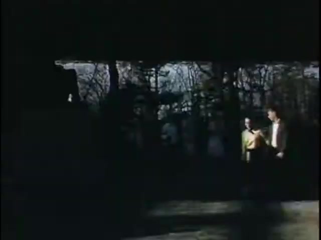 The still features two figures walking together in a dimly lit environment, surrounded by trees. One figure wears a yellow shirt, while the other is in a lighter outfit. The setting appears to be outdoors, hinting at an intimate or reflective moment amidst a shadowy backdrop, evoking a sense of nostalgia.