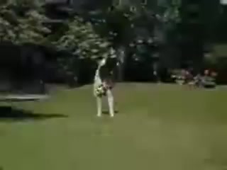 The still features a vibrant outdoor scene from 1941, likely capturing a moment in a garden or park. The image showcases a person performing a playful action, possibly resembling a dance or game, amidst lush greenery and trees. The colors are bright and vivid, typical of Kodachrome film from that era, highlighting the joyful mood of the setting.