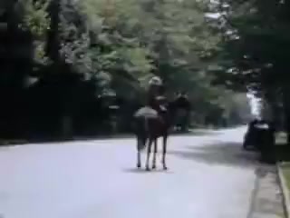 The still from 'Connie and Shirley reel #1 - 1941' captures a serene outdoor scene, featuring a person on horseback. The setting appears to be a quiet, tree-lined street, evoking a sense of nostalgia. The use of Kodachrome suggests vibrant colors typical of early color film, creating a charming atmosphere reminiscent of the early 1940s.