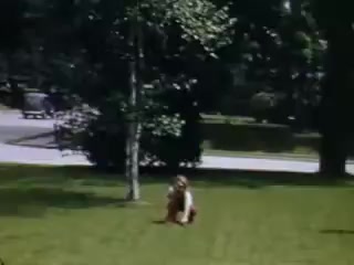 The still from 'Connie and Shirley reel #1 - 1941' features a vibrant outdoor scene captured in Kodachrome. A child is seen crouching on a lush green lawn, surrounded by trees. In the background, a roadway is visible with a few vehicles, indicative of suburban life in the early 1940s. The colors are bright and lively, typical of Kodachrome film from that era.