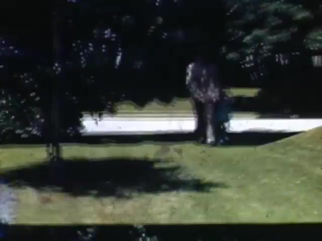 The still captures a moment from 'Jack Reel 2', featuring a man and a child in a grassy area under the shade of trees. The scene reflects a suburban environment typical of the early 1940s, with a glimpse of a white road in the background. The Kodachrome film presents vibrant colors, but the image may show signs of age, such as fading or grain. Overall, it evokes a nostalgic, serene moment from daily life during that era.