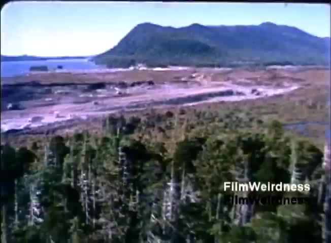 The still shows a scenic landscape featuring dense greenery in the foreground, set against a backdrop of mountains and a body of water. The scene suggests a natural environment, possibly representing the setting for industrial or technological advancements, aligning with the context of the IBM System 36 sales film from 1984. The overall tone conveys a mix of nature and development.