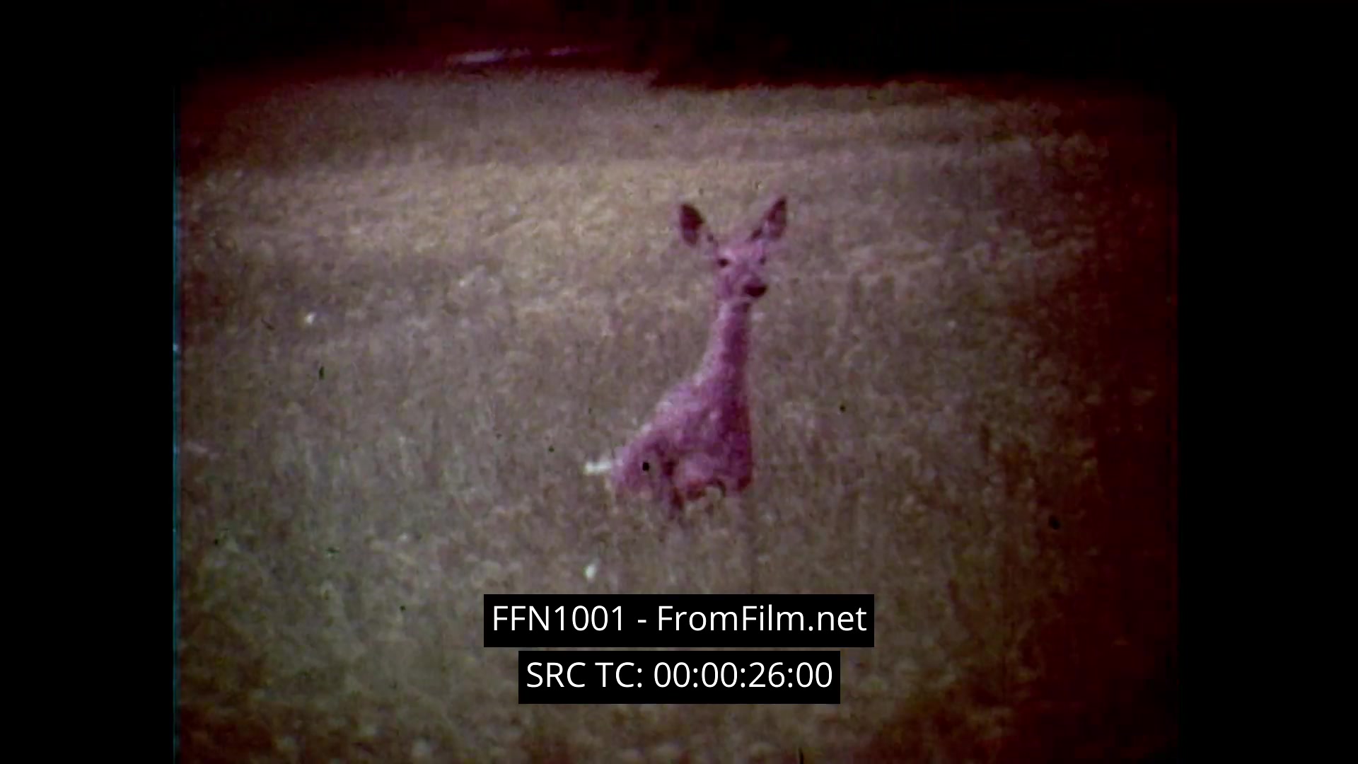 The 16mm still from Chanel No. 5: 'Tomorrow’s Woman' showcases a surreal advertisement for Chanel No. 5, characterized by 1970s dream-like cinematography. The image features soft-focus close-ups of the iconic perfume bottle, evoking an ethereal atmosphere. The scene captures a serene moment, enhancing the luxurious and whimsical essence of the brand.